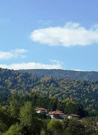 Вили Green Tsigov Chark Esterno foto