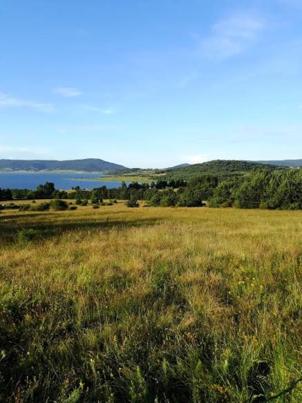 Вили Green Tsigov Chark Esterno foto